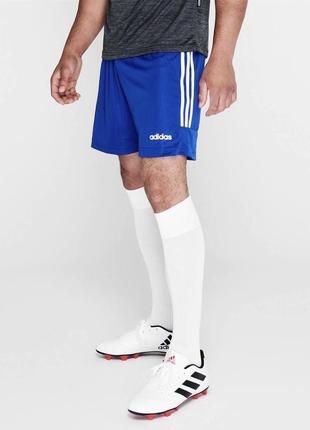 Легкие спортивные шорты adidas climalite men's blue
