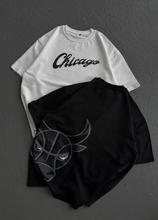 Мужская оверсайз футболка chicago bulls, stussy, nike, adidas