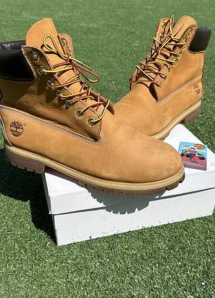 Чоловічі черевики timberland 6 premium caterpillar dickies bogner