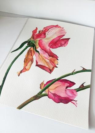 Картина акварель 24х31 см увядающая роза