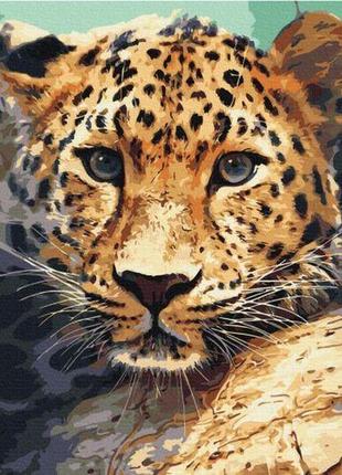 Картина по номерам "портрет леопарда" ★★★