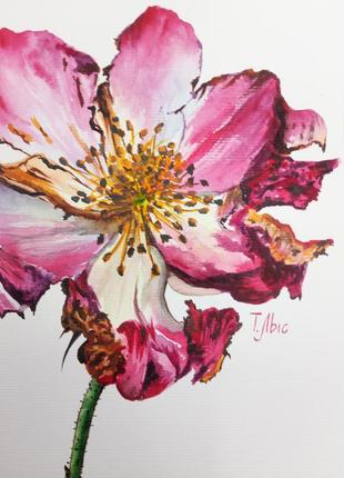 Картина аквареот 15х21 см цветок