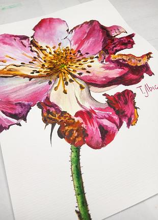 Картина аквареот 15х21 см цветок