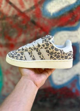 Кросівки adidas campus leopard  леопардові жіночі / чоловічі