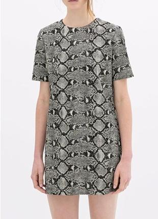 Сукня-футболка primark зміїний принт