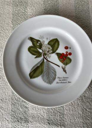 Тарелка коллекционная 1987 год, данная, из серии flora danica, диаметр 20 см,