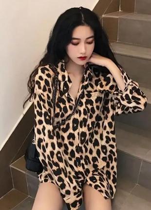 Сорочка рубашка блуза блузка леопардовий принт