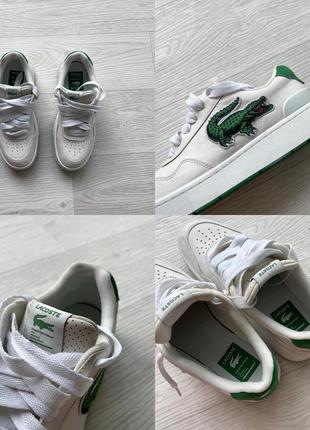 Шикарні кросівки lacoste ace clip logo sneakers white/green7 фото