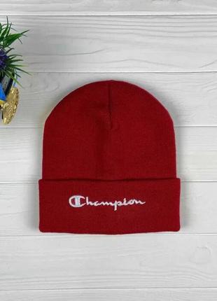 Шапка дитяча (хлопчик) демісезон