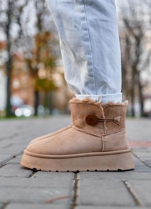 Зимние женские ботинки ugg mini bailey button plarform beige (no name)