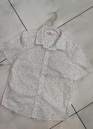 Белая стильная рубашка шведка на мальчика h&m 7-8 лет (122-128 см)