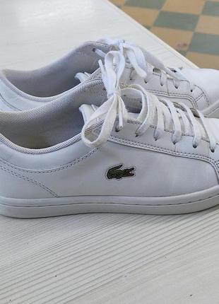 Кроссовки lacoste