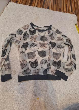Шифоновая кофта блуза котики