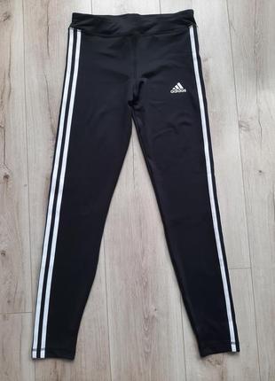 Лосини adidas 14-15 років, 170 см3 фото