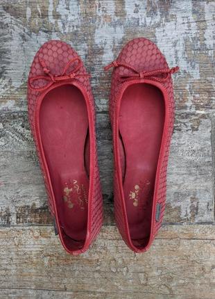 Otto kern элегантные оригинальные балетки