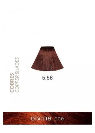 Фарба для волосся eva professional 5.56 divina.оne cobrizo daikiri (шатен дайкірі мідний)