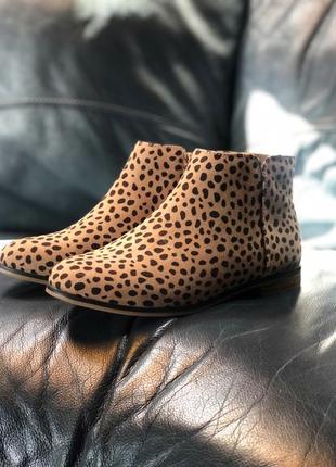Гепардові жіночі стильні черевики