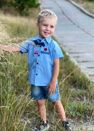 Джентельмен кроха голубой