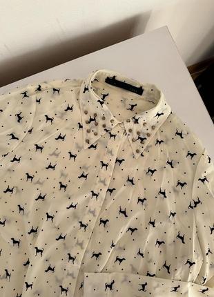 Сорочка рубашка з тваринним принтом молочна сорочка