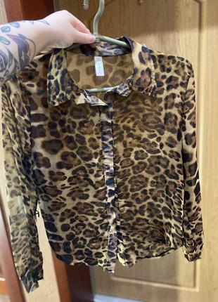 Коротка рубашка леопард