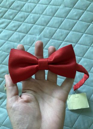 Новые качественные бабочки