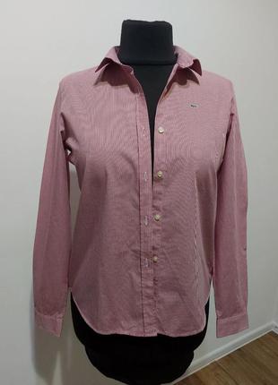 Чоловіча сорочка від lacoste