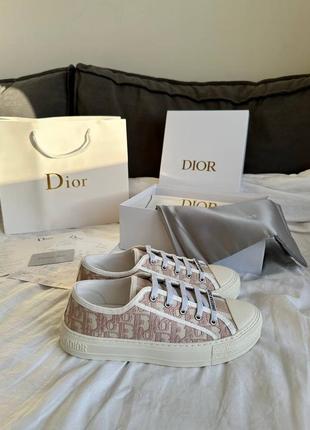 Женские кеды в стиле dior sneakers low