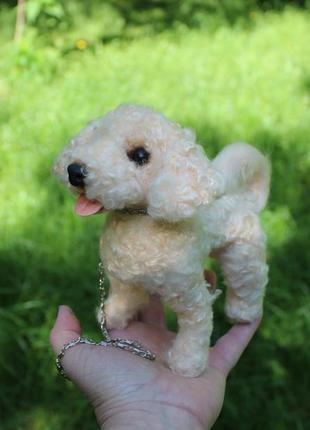 Собачка іграшка валяна мальтіпу песик пудель собака інтерєрна балонка мальтеза валяння прикраси подарунок щенок