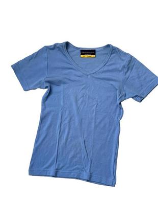 Icebreaker merino t-shirt