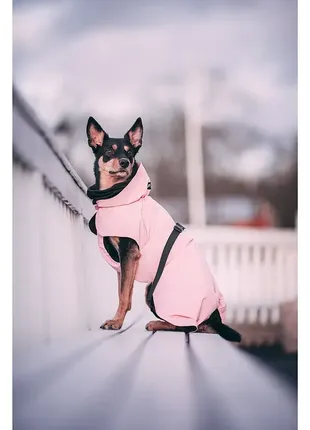 Дождевик для собак с светоотражанием paikka visibility raincoat