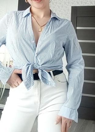 Блузы и рубашки