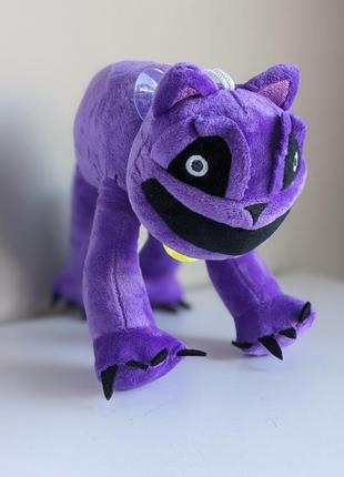 Кетнеп. catnap. кіт дрьома