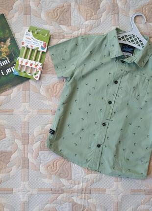 Тенниска для мальчика, 100% хлопок