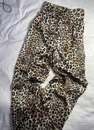 Леопардові штани кльош