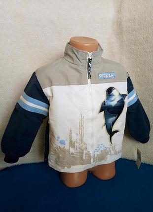 Ветровка shark tale на 3 года