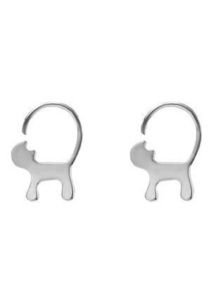 Серебряные серьги покрытые родием