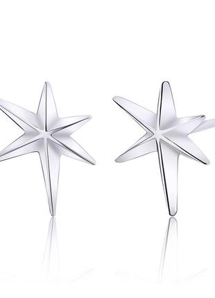 Серебряные серьги покрытые родием