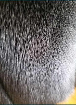 Норкова шуба