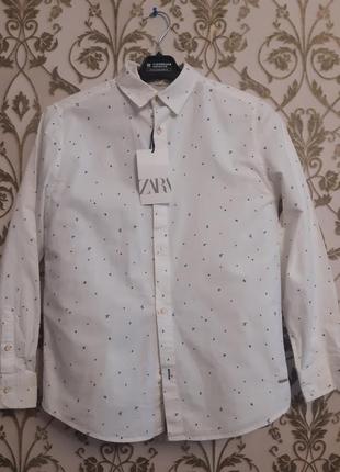 Рубашка бренд zara, размер 11-12 лет.