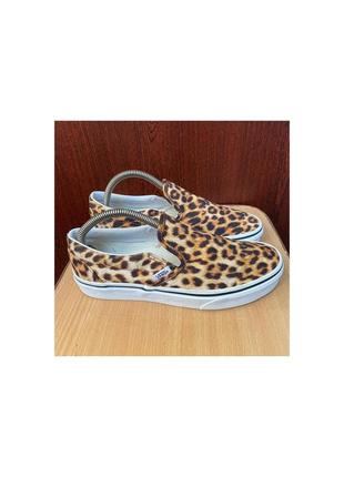 Женские слипоны vans slip-on classic leopard