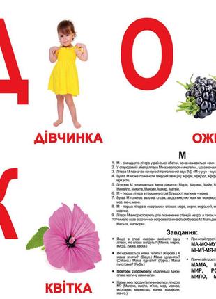 Великі українські картки «алфавіт»