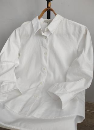 Біла сорочка белая рубашка victoria beckham