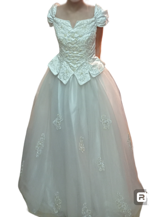 Ро біла гарна пишна весільна сукня бальне плаття