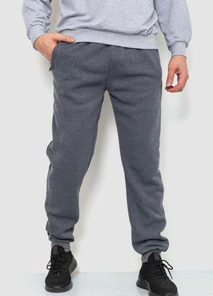 Спорт чоловічі штани на флісі, колір сірий, 244r4188
