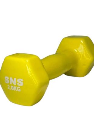 Гантели виниловые для фитнеса sns по 2 кг 2 шт. желтый