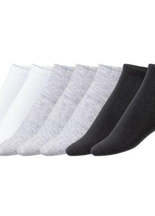 Шкарпетки набір 7 пар для жінки esmara lycra® 348261 35-38 різнобарвний