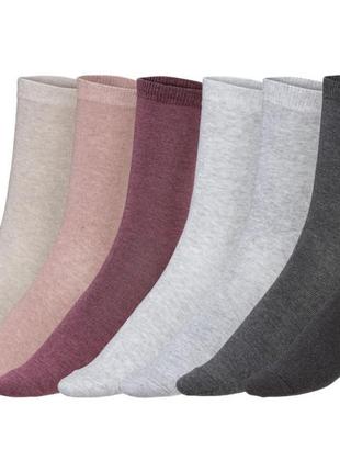 Шкарпетки набір 7 пар для жінки esmara lycra® 427447 39-42 різнобарвний