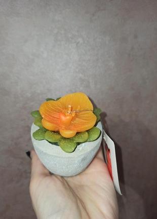 Декоративная свеча цветок в кашпо