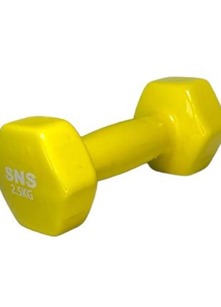 Гантели для фитнеса sns виниловые по 2,5 кг 2 шт. желтый