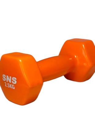 Гантели для фитнеса sns виниловые по 2,5 кг 2 шт. оранжевый